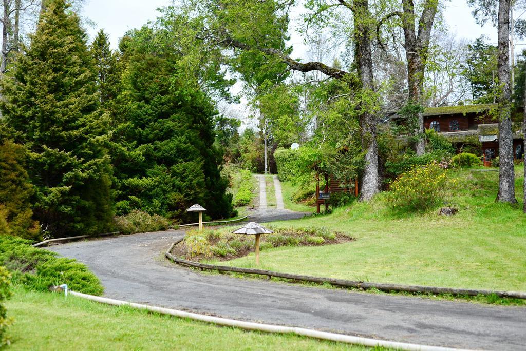 Cabanas Altos Del Lago Pucón Eksteriør billede